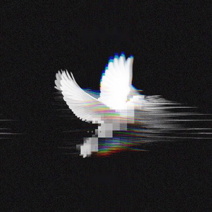 White dove in flight dissolving into digital glitch artifacts against black